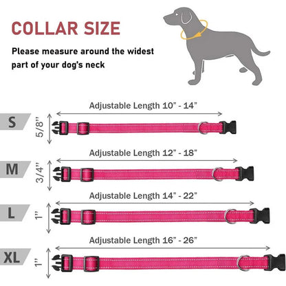 Collar Reflectante Ajustable 🌙 – Seguridad Extra en Paseos Nocturnos para Perros