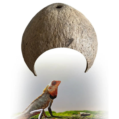 Choza de Cáscara de Coco - Escondite y Refugio de Cría para Cangrejos Ermitaños y Reptiles