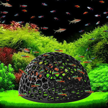 Cueva Mini Porosa 🐠 – Refugio de Cría para Camarones y Peces Betta