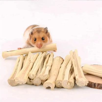 Palitos de Bambú Dulce Natural 🎋 – Snack Dental para Conejos, Cobayas y Hámsters (900 g)
