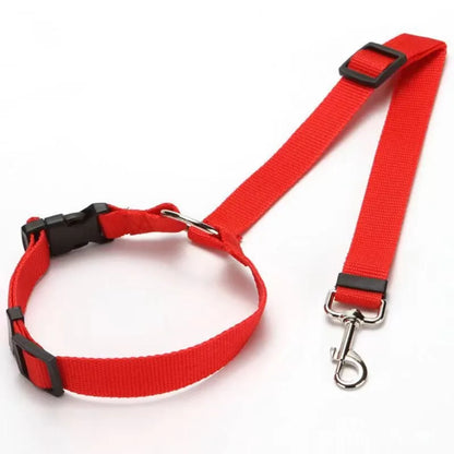 Cinturón de Seguridad 2 en 1 🚗 – También Funciona como Correa para Perros