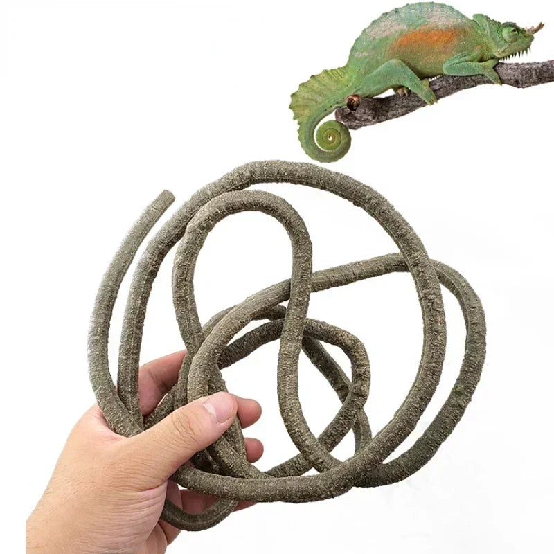 Enredaderas Flexibles Grandes de Ratán para Terrario - Ramas de Selva para Reptiles Trepadores