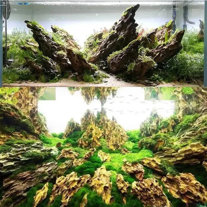 Piedra Natural Microporosa 🪨 – Rocalla Decorativa para Plantas de Acuario