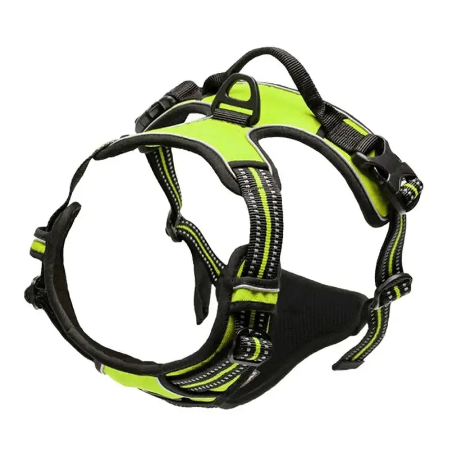 Set de Collar, Arnés y Correa de Piel para Perros Pequeños y Medianos