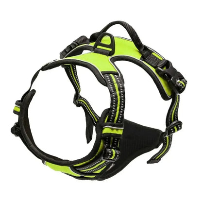 Set de Collar, Arnés y Correa de Piel 🐕 – Para Perros Pequeños y Medianos
