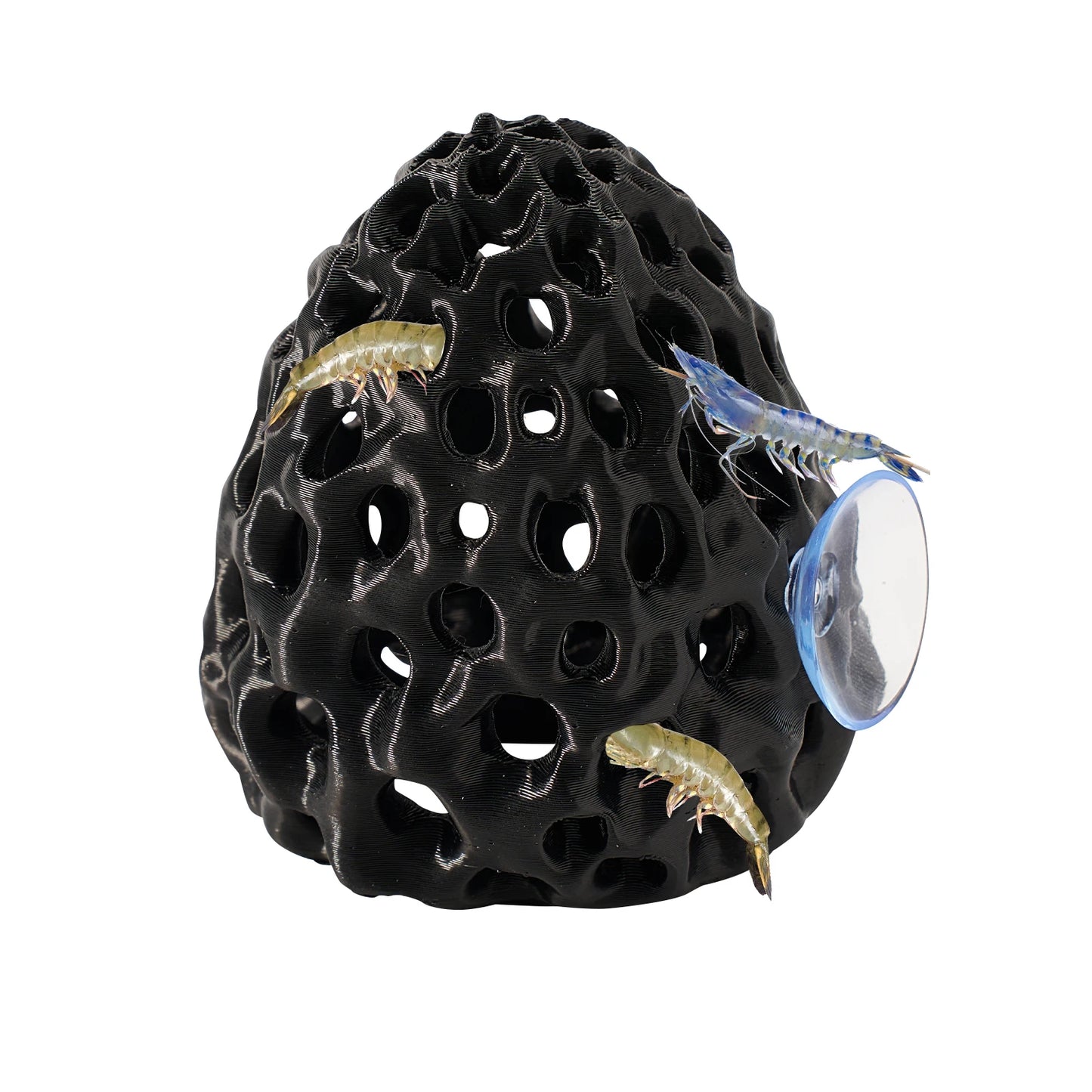 Escondite para Camarones y Peces Betta con Ventosa - Decoración de Acuario