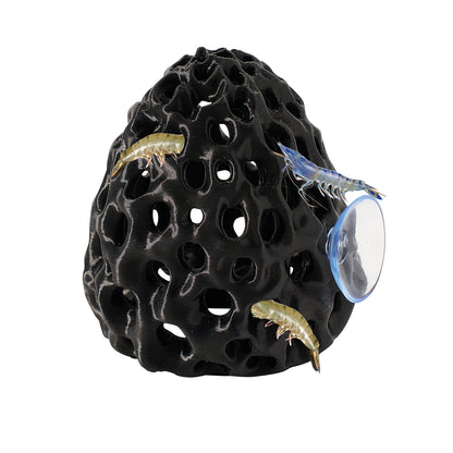 Escondite con Ventosa 🐠 – Para Camarones y Peces Betta