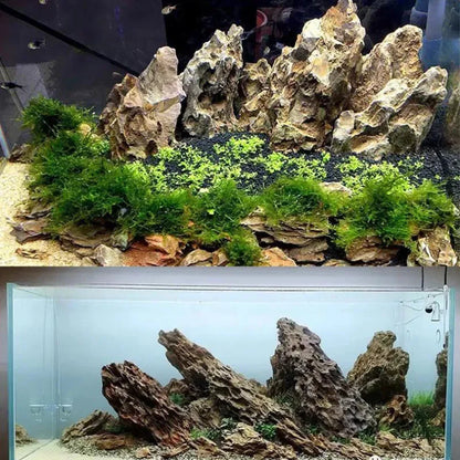 Piedra Natural Microporosa 🪨 – Rocalla Decorativa para Plantas de Acuario