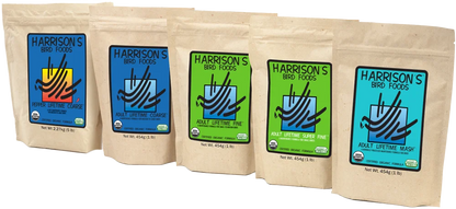 Harrison Adult Lifetime Fine 🌿 – Pienso Ecológico de Mantenimiento para Aves (454 g)