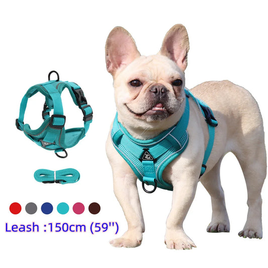 Set de Arnés y Correa 🐶 – Ideal para Perros Pequeños y Cachorros