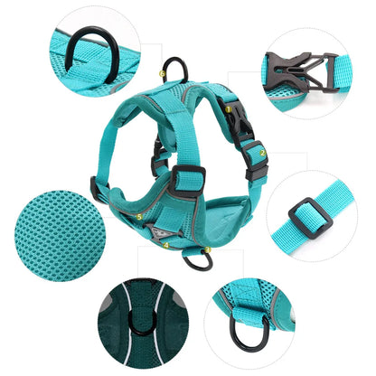 Set de Arnés y Correa 🐶 – Ideal para Perros Pequeños y Cachorros