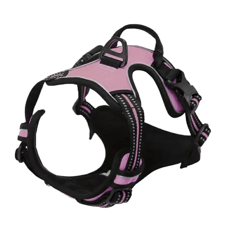 Set de Collar, Arnés y Correa de Piel para Perros Pequeños y Medianos