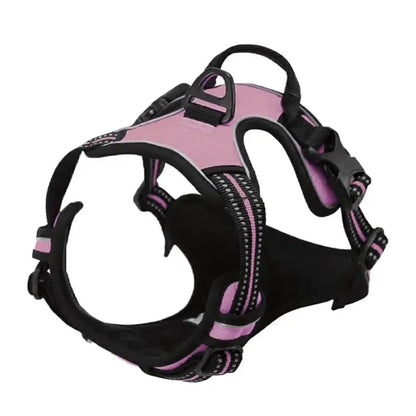 Set de Collar, Arnés y Correa de Piel 🐕 – Para Perros Pequeños y Medianos
