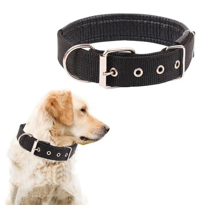 Collar de Nylon Ajustable 🐕 – Anilla de Enganche Resistente para Perros