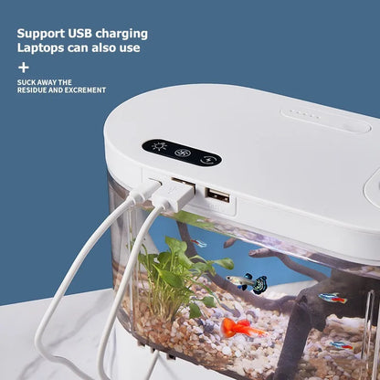 Acuario Creativo de Sobremesa 💡 – Filtración Biológica y Luz LED para Betta