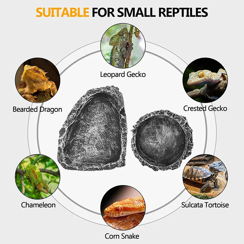 Comedero y Bebedero para Reptiles con Textura de Piedra Realista - Dragón Barbudo y Reptiles Pequeños