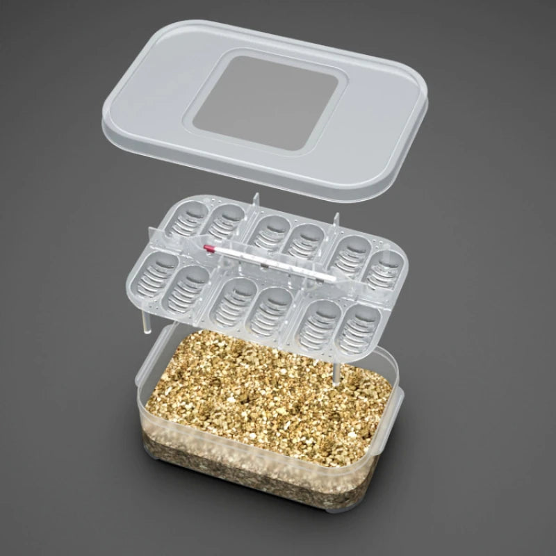 Caja de Incubación DIY de 12 Compartimentos para Huevos de Reptiles - Serpientes, Lagartos y Geckos Leopardo