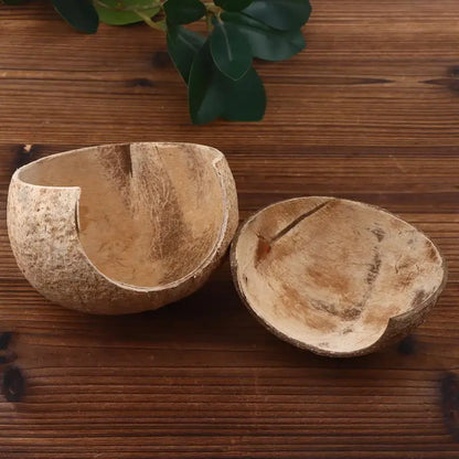 Choza de Coco Decorativa para Acuario y Terrario - Escondite Multiusos para Cangrejos Ermitaños, Reptiles y Ranas