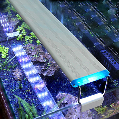 Luz LED Ultra Fina Azul 💡 – Para Acuario (18-75 cm, 220V)