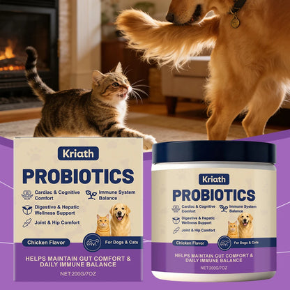 Probióticos en Polvo Sabor Pollo 🐔 – Suplemento Digestivo para Perros y Gatos (200 g)