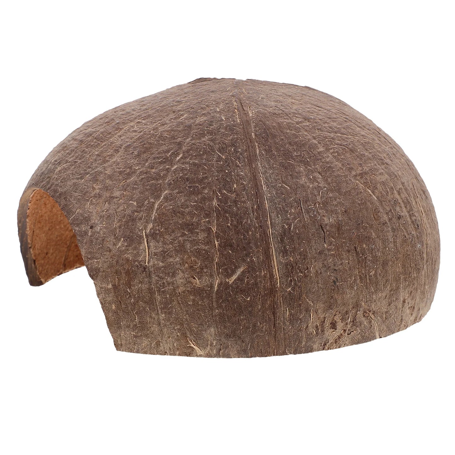 Escondite de Cáscara de Coco para Tortugas - Plataforma para Tomar el Sol y Decoración de Hábitat