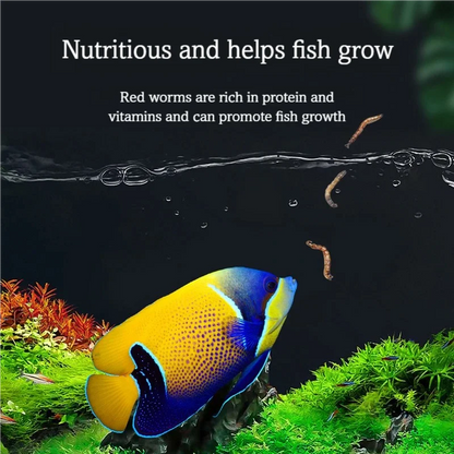 Gusanos Rojos Deshidratados de Alta Proteína 🐛 – Alimento Natural para Peces, Tortugas y Reptiles
