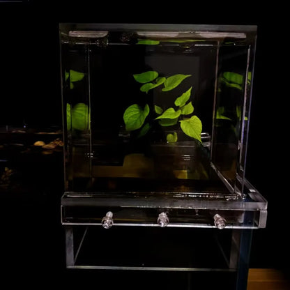 Pecera de Presión Negativa 🐠 – Acuario Acrílico Suspendido de Fácil Instalación