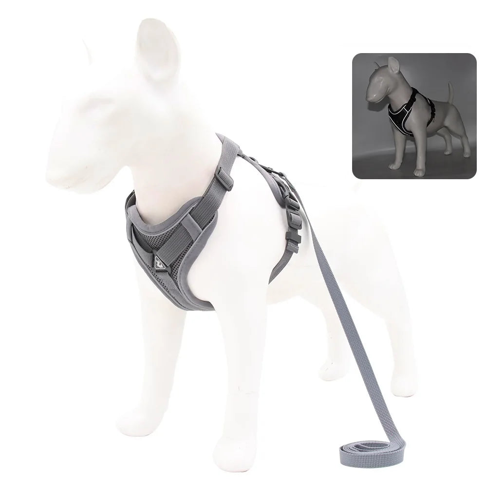 Set de Arnés y Correa para Perros Pequeños y Cachorros