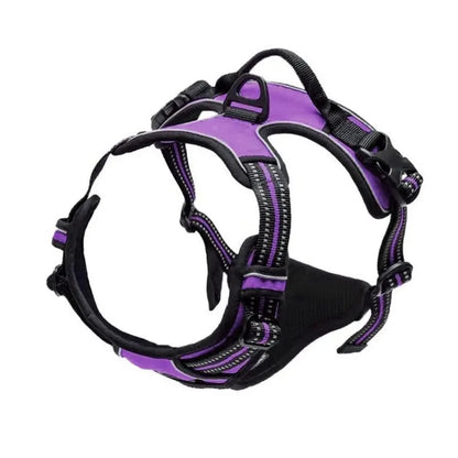 Set de Collar, Arnés y Correa de Piel 🐕 – Para Perros Pequeños y Medianos
