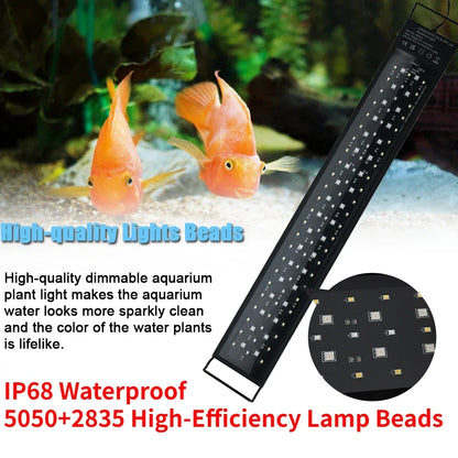 Luz LED Espectro Completo 💡 – Resistente al Agua IP68 (20-70 cm)