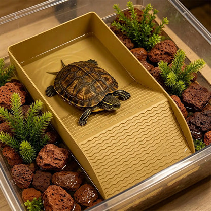 Bandeja de Remojo para Reptiles con Rampa - Cuenco de Baño para Dragón Barbudo, Tortuga, Lagarto y Gecko
