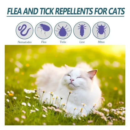 Dutrieux Loción Antipulgas y Garrapatas 🛡️ – Para Perros y Gatos (50 ml)
