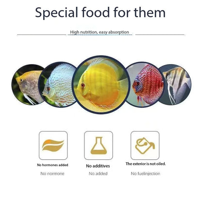 Alimento para Peces Disco con Astaxantina 🐠 – Gránulos de Hundimiento Lento