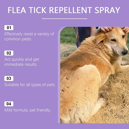 Yegbong Spray Repelente 🛡️ – Pulgas, Garrapatas y Ácaros para Perros y Gatos (50 ml)