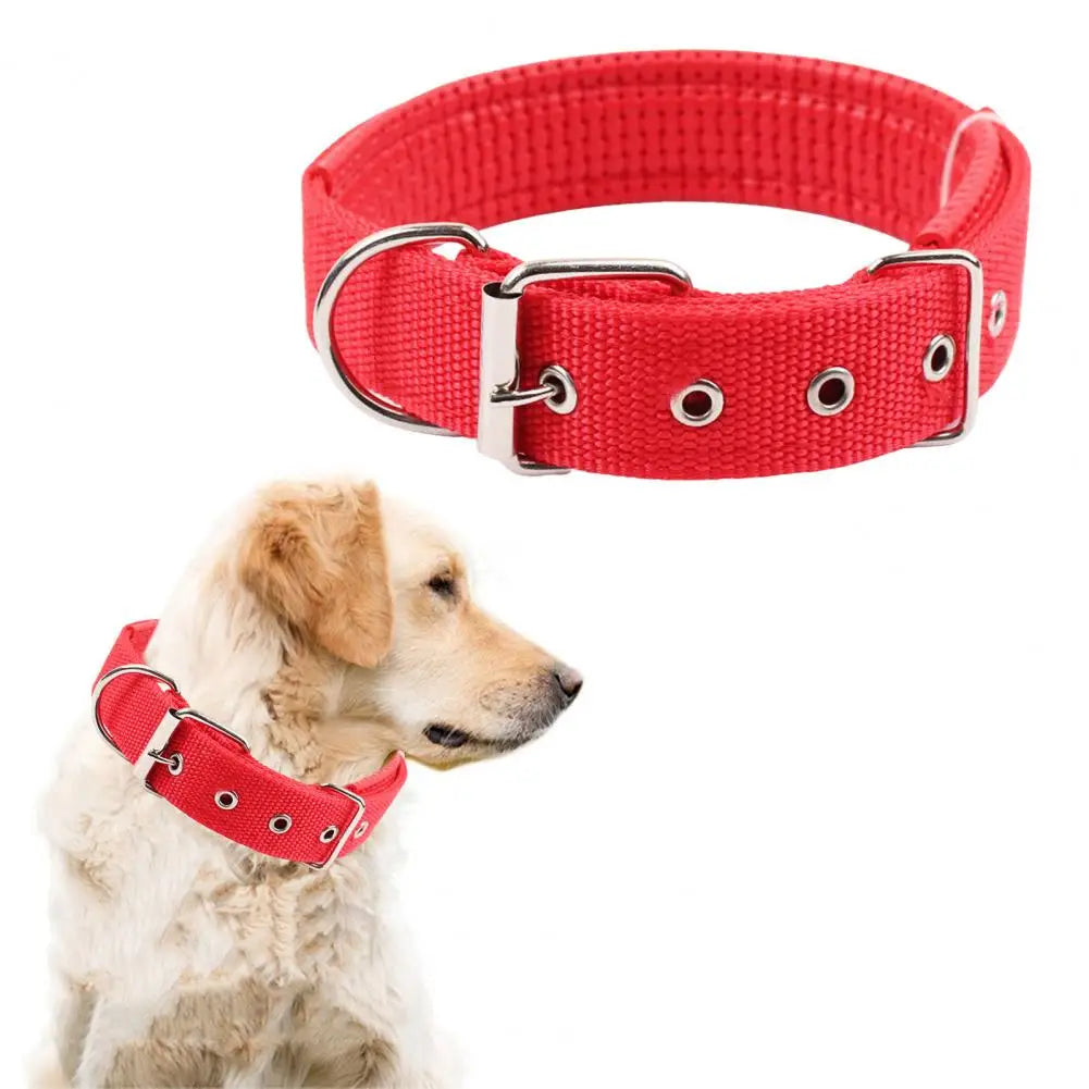 Collar de Nylon Ajustable para Perros - Anilla de Enganche Resistente