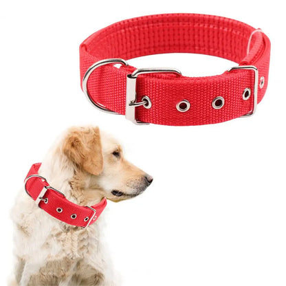 Collar de Nylon Ajustable 🐕 – Anilla de Enganche Resistente para Perros