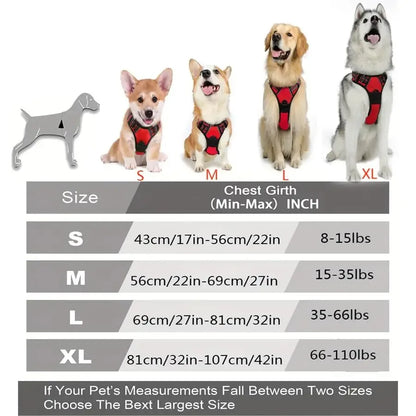Set de Collar, Arnés y Correa de Piel 🐕 – Para Perros Pequeños y Medianos