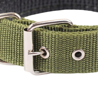 Collar de Nylon Ajustable 🐕 – Anilla de Enganche Resistente para Perros