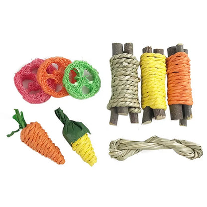 Zanahorias de Lufa Masticables 🥕 – Desgaste Dental para Conejos, Hámsters y Cobayas