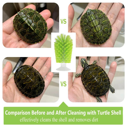 Cepillo Limpiador de Caparazón para Tortugas - Escobilla para Pequeños Animales Acuáticos