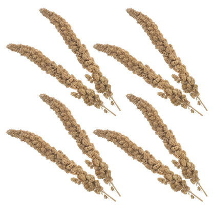 Espigas de Mijo Natural 🌾 – Snack para Periquitos y Cotorras (500 g)