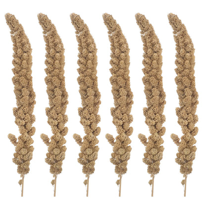 Espigas de Mijo Natural 🌾 – Snack para Periquitos, Loros y Cotorras (500 g)