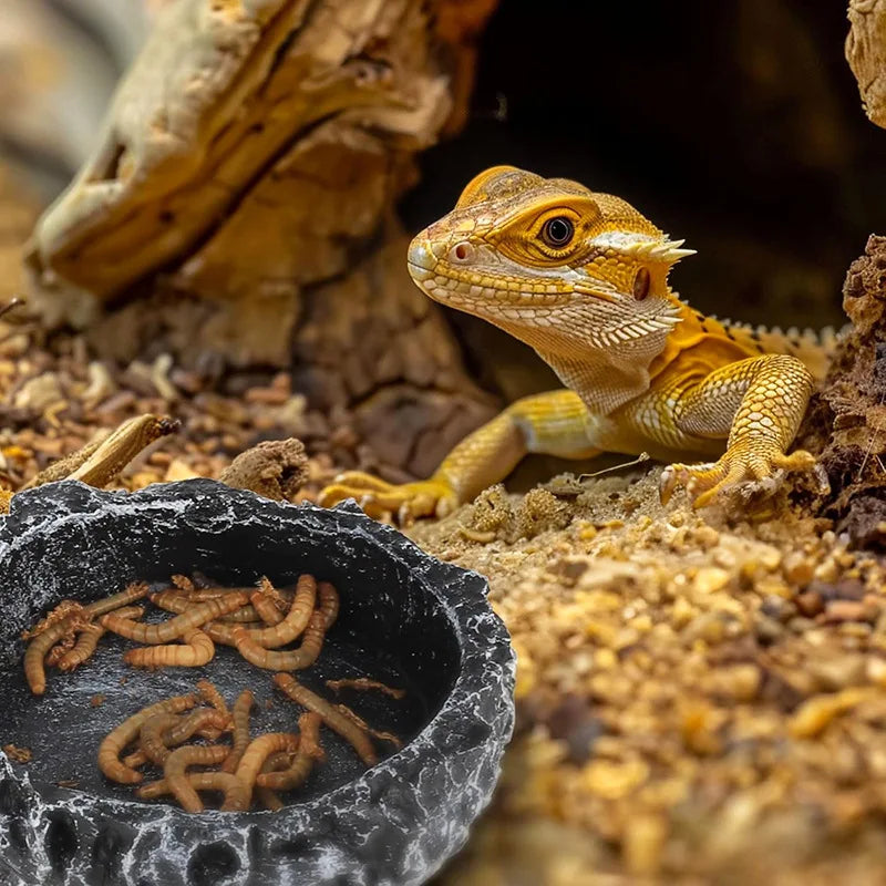 Comedero y Bebedero para Reptiles con Textura de Piedra Realista - Dragón Barbudo y Reptiles Pequeños