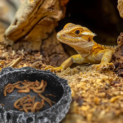 Comedero y Bebedero para Reptiles con Textura de Piedra Realista - Dragón Barbudo y Reptiles Pequeños