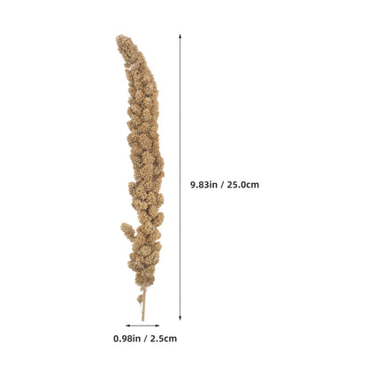 Espigas de Mijo Natural 🌾 – Snack para Periquitos y Cotorras (500 g)