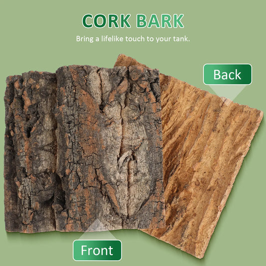 4 Piezas de Corteza de Corcho Segura 🌳 – Decoración de Fondo para Terrario de Lagartos y Geckos