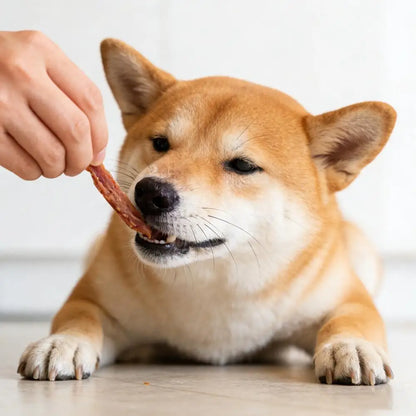Snack de Pato Deshidratado 🦆 – Alto en Proteína para Perros (50 g)