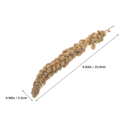 Espigas de Mijo Natural 🌾 – Snack para Periquitos y Cotorras (500 g)