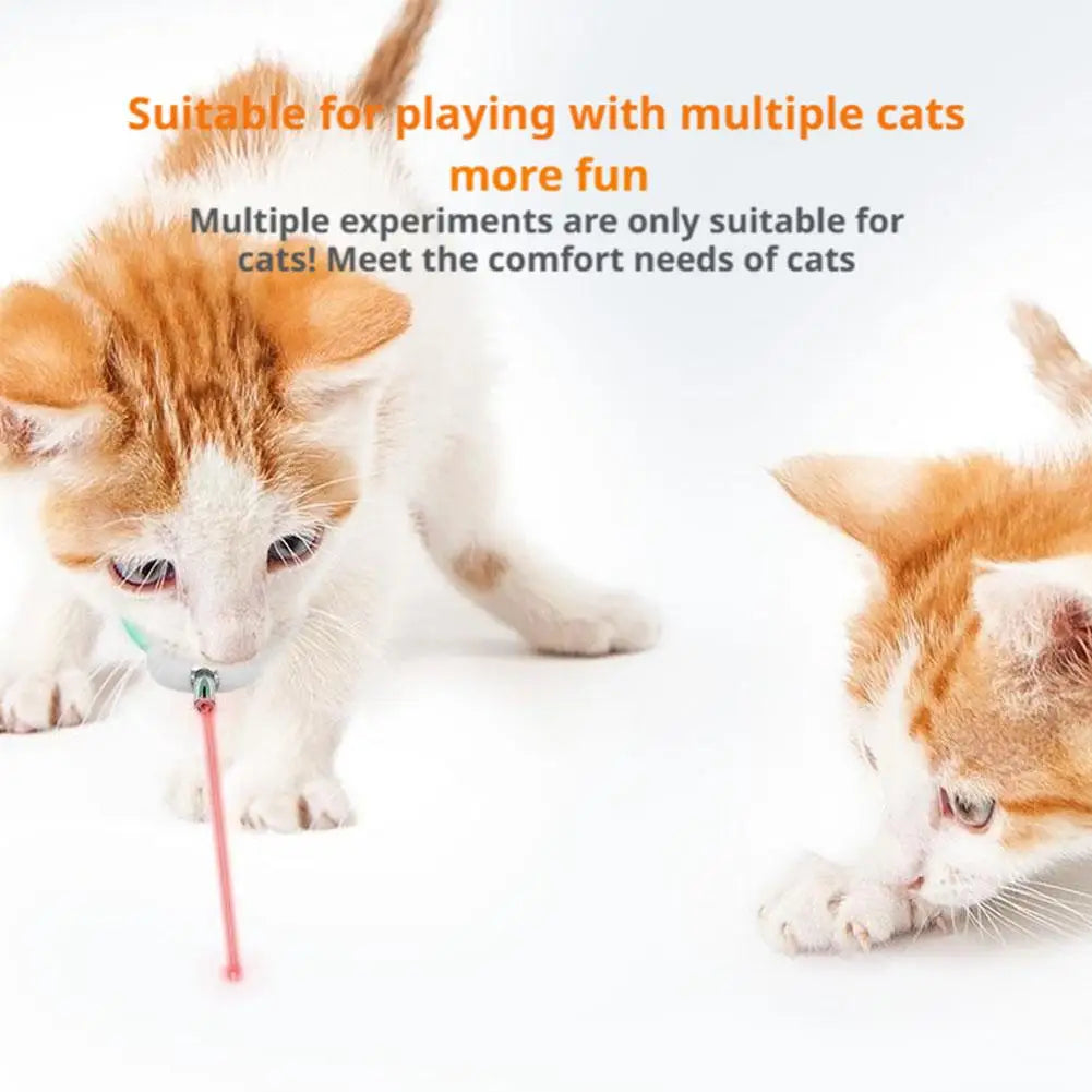 Collar Láser Inteligente para Gatos - Recargable, Alivia la Ansiedad