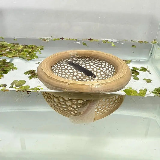 Cueva Flotante 3 en 1 para Peces y Camarones - Hamaca y Comedero para Betta